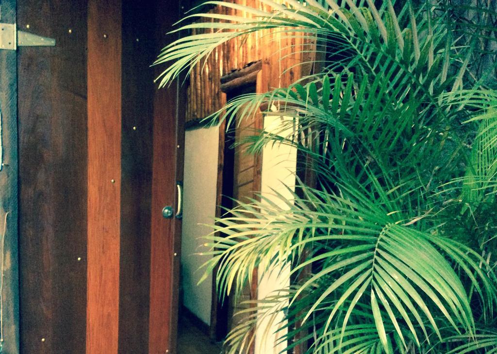 Canto Do Buganville Abraão Zewnętrze zdjęcie